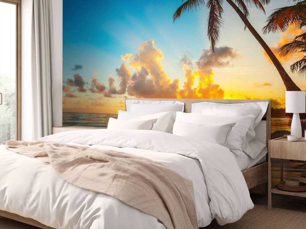 Coucher de soleil avec des palmiers