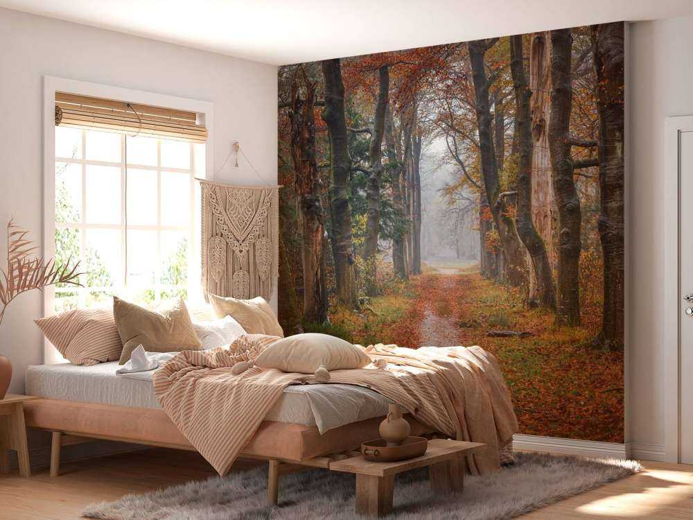 Chemin forestier avec de vieux arbres