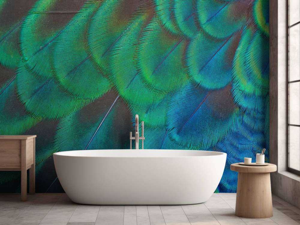 Gros plan sur des plumes de paon