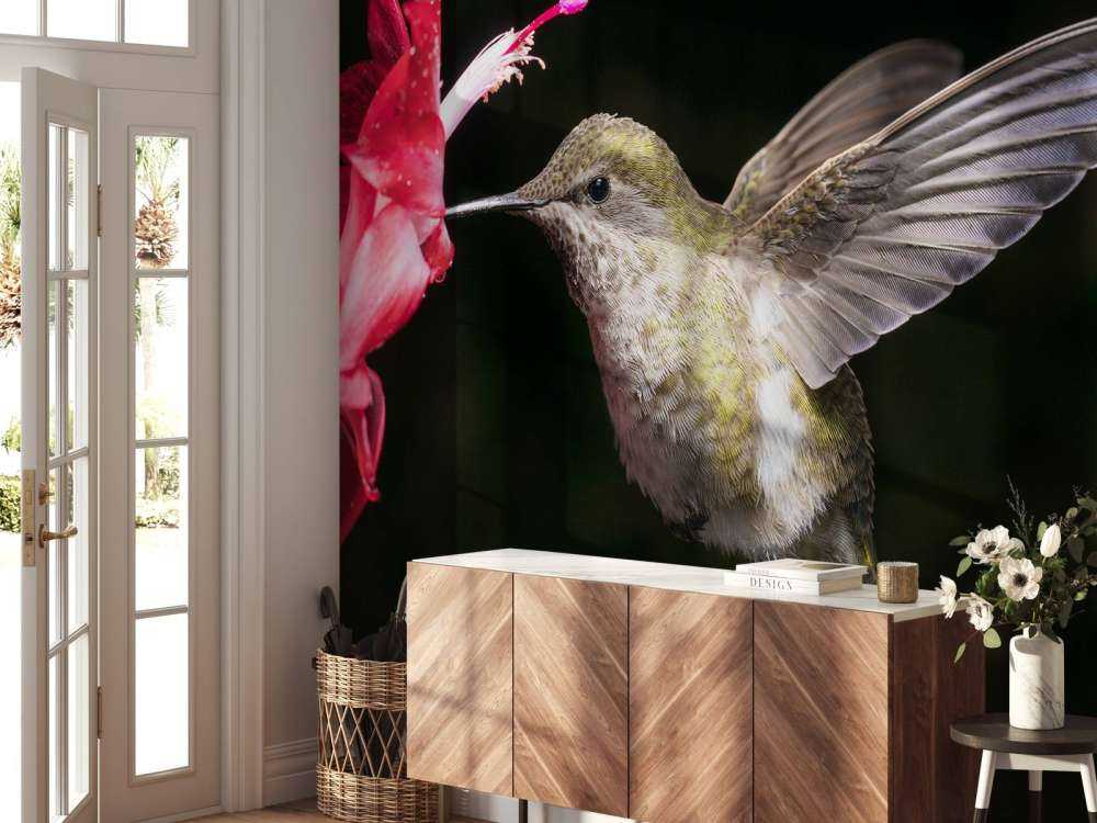 Colibri avec une fleur rouge