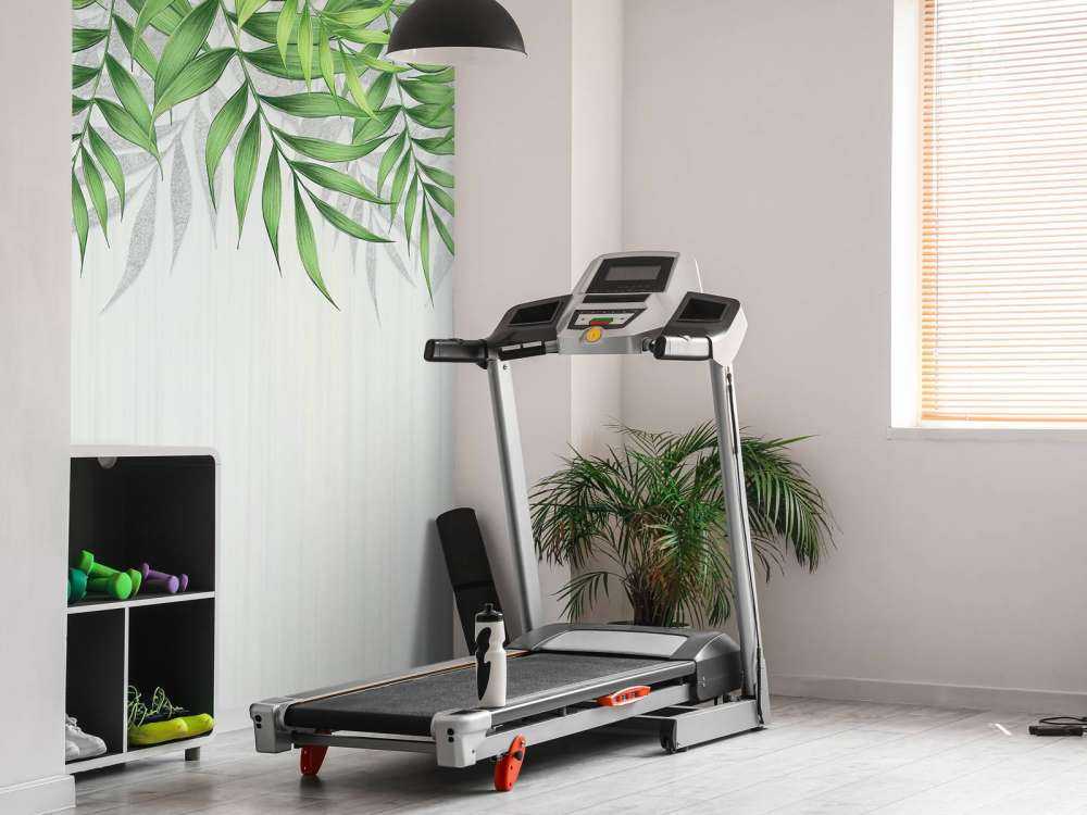 Texture de feuilles tropicales