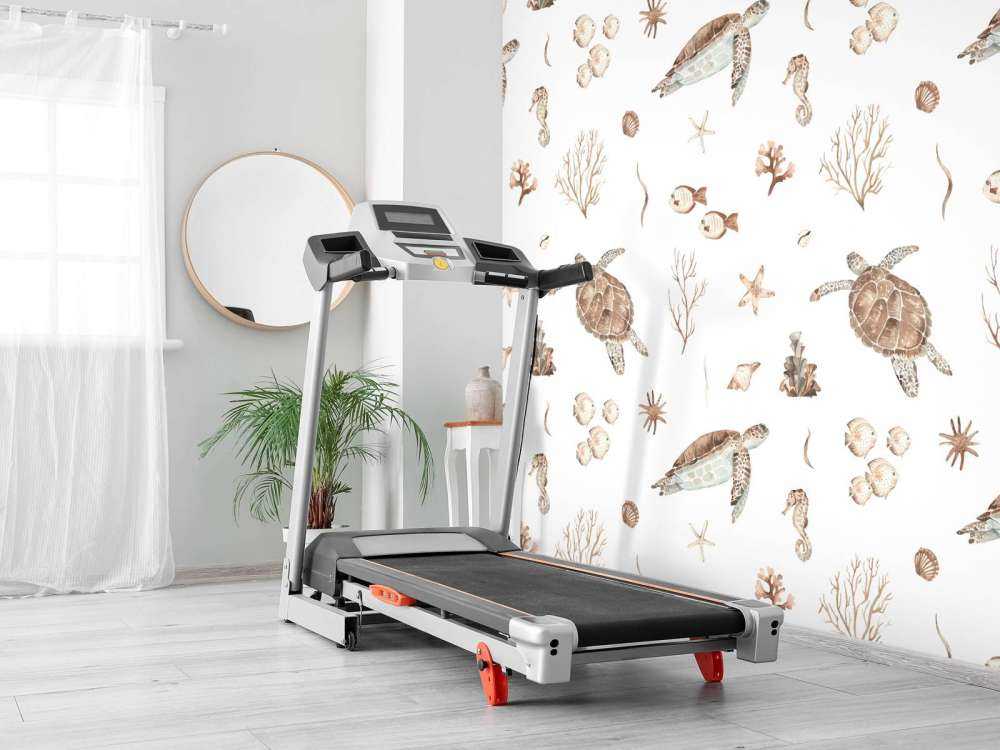 Coquillages et créatures marines