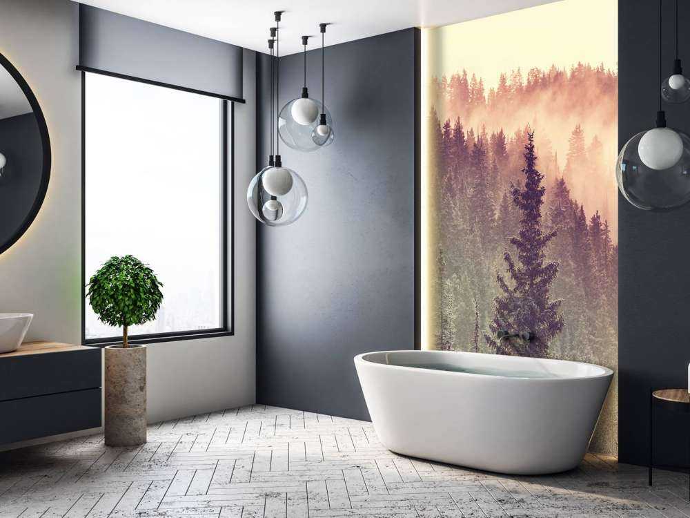 Brouillard dans la forêt