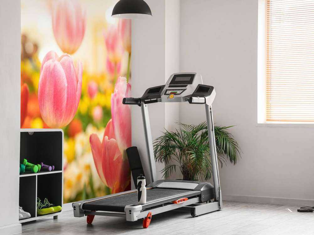 Fleurs de contes de fées