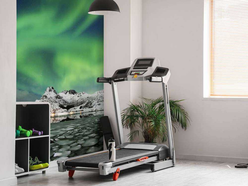 Aurore boréale au-dessus d'un paysage d'hiver