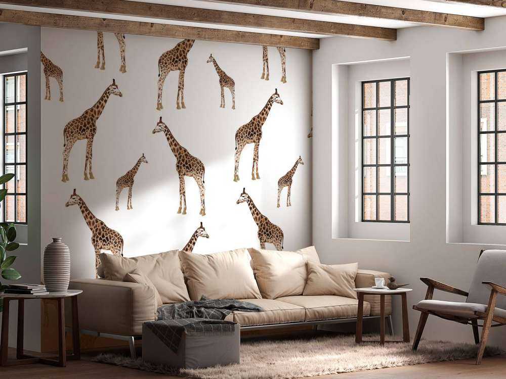 Girafes