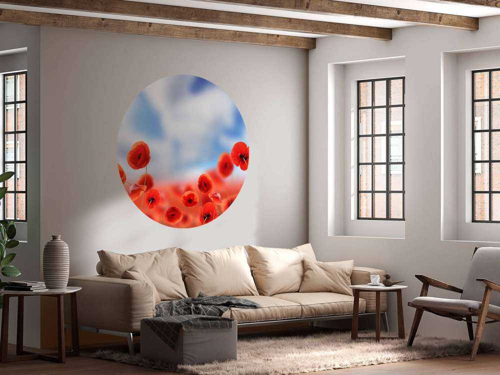 Ciel bleu et coquelicots rouges