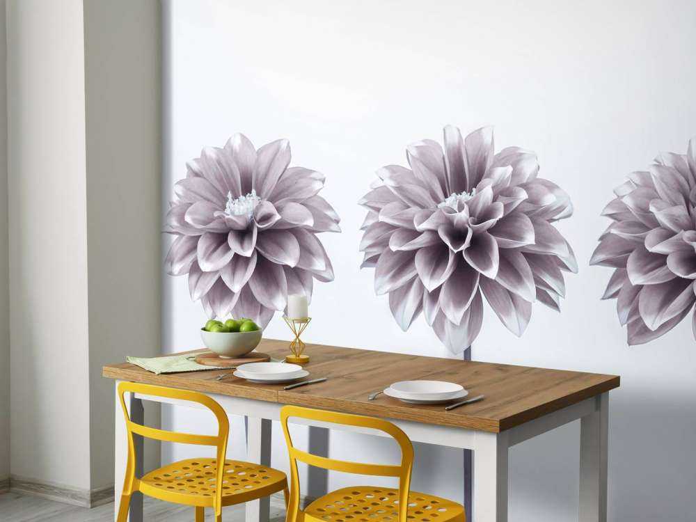 Dahlias