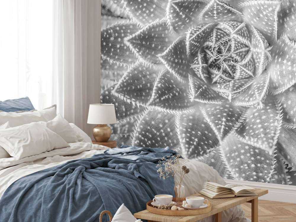 Succulente en noir et blanc