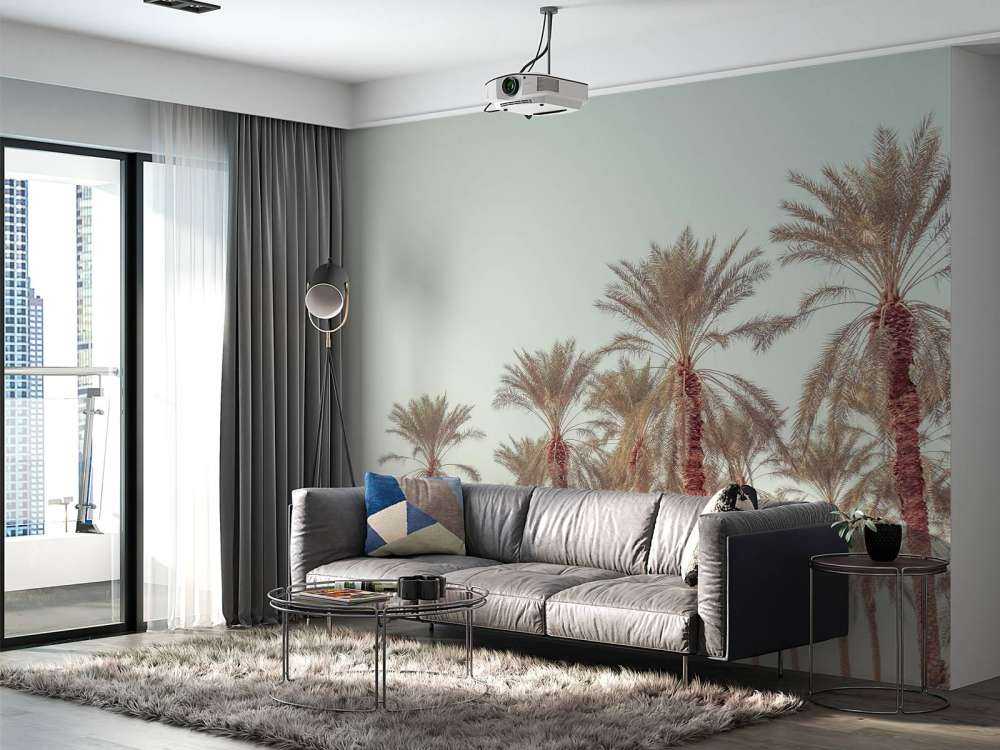 Palmiers tropicaux