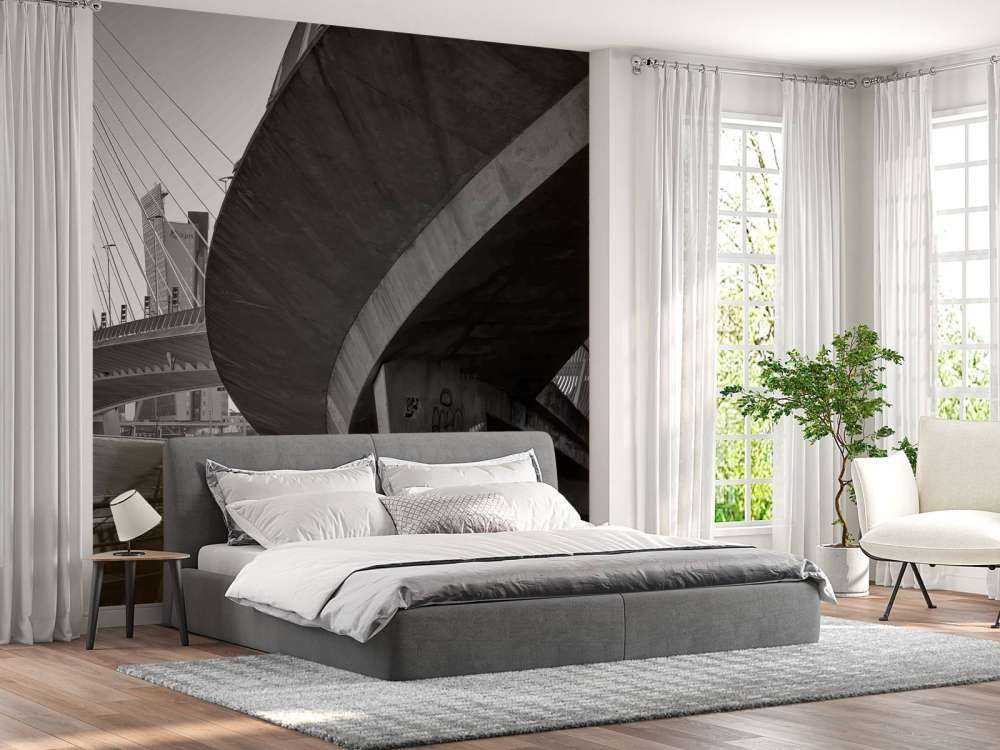 Erasmusbrug et architecture urbaine
