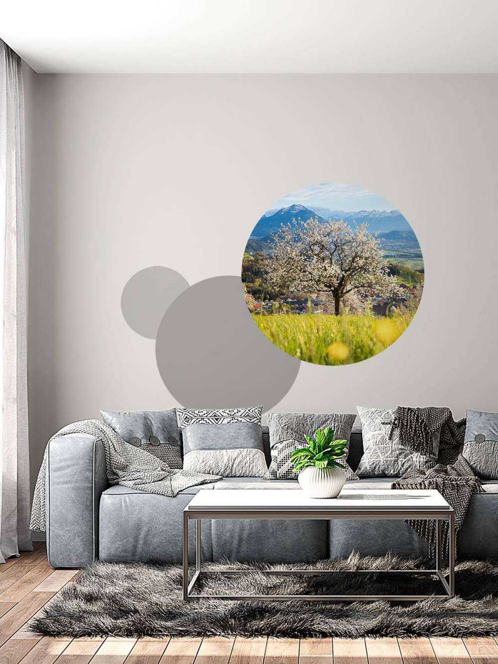 Cerisier en fleurs dans une prairie alpine