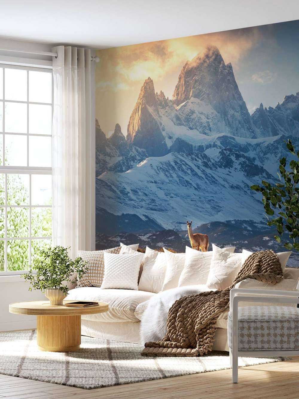 Guanaco devant les sommets enneigés de la Patagonie.