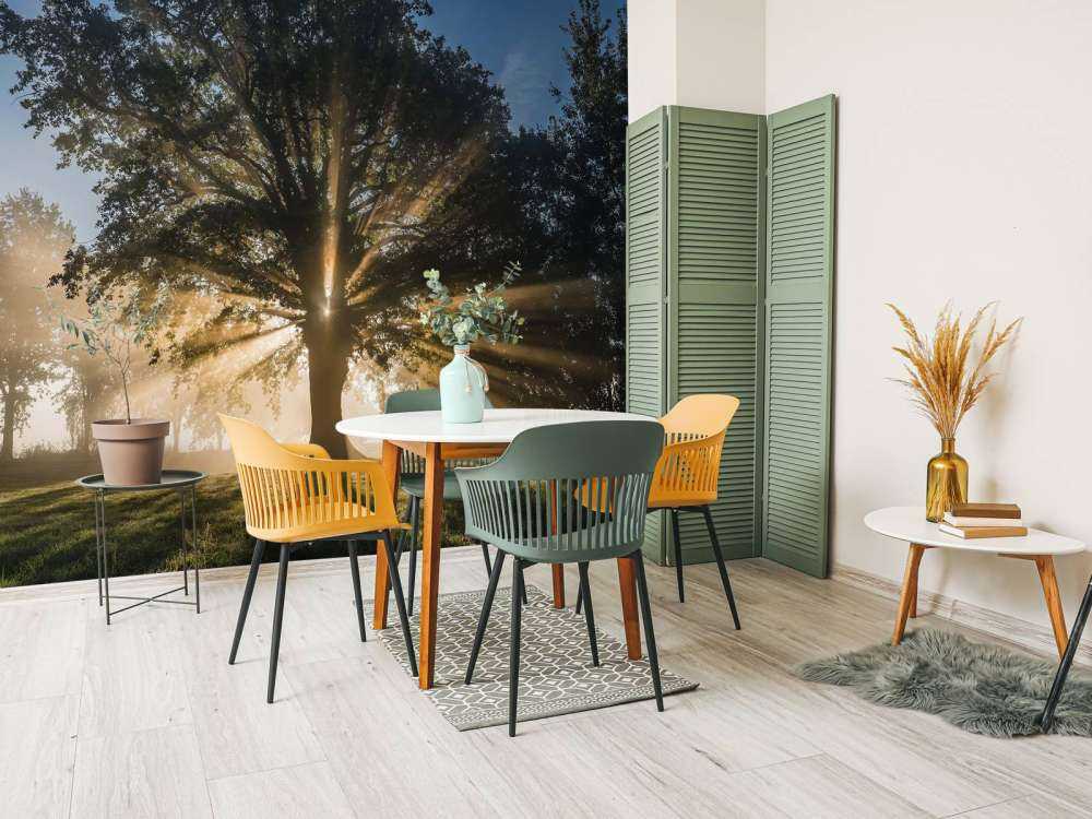 Rayons de soleil à travers le Vieux Chêne