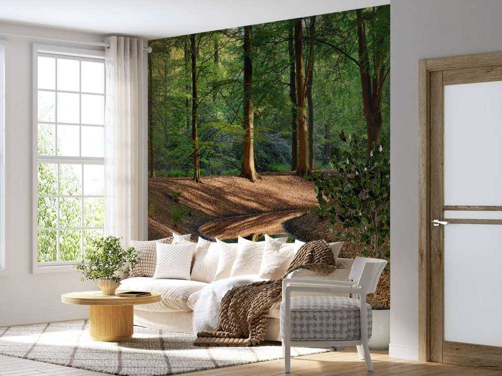 Ruisseau dans la forêt