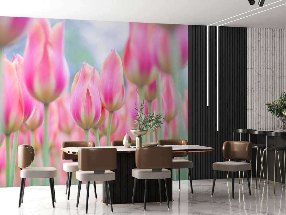 Gros plan sur des tulipes roses