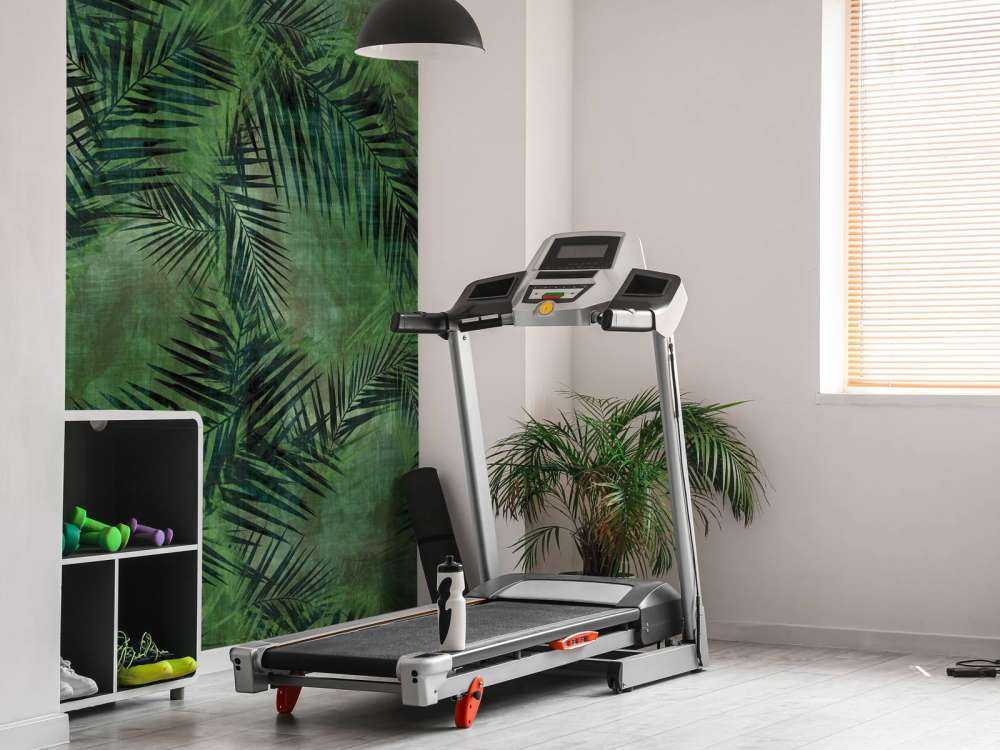 Feuilles vertes tropicales