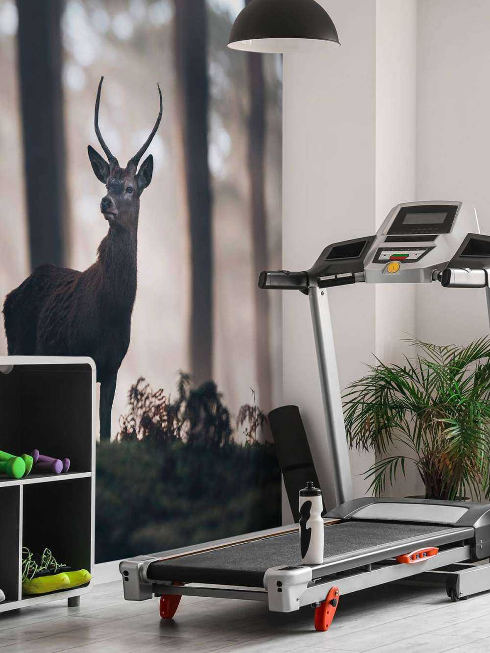 Cerf près des arbres