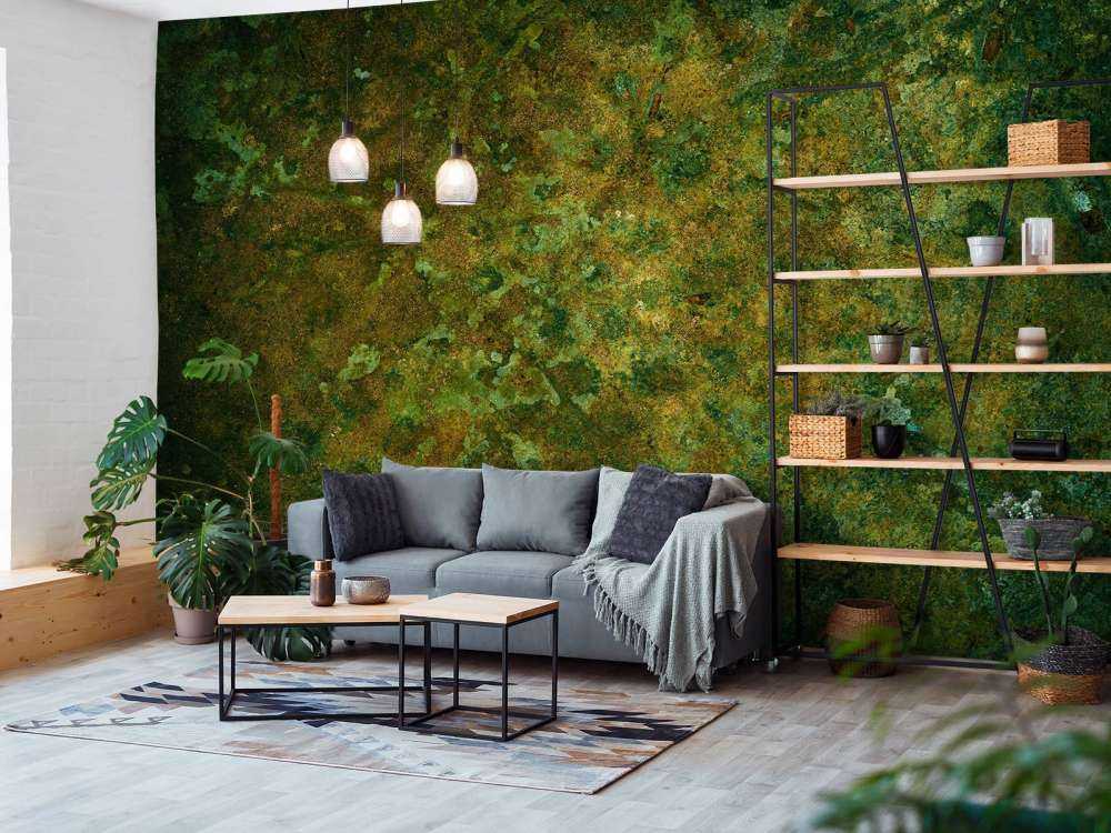 Structure d'oxydation du métal vert