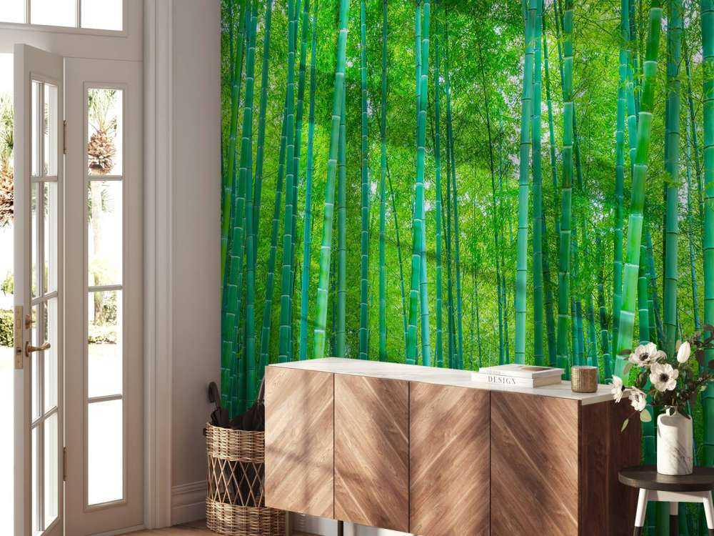 Une forêt verte de bambous