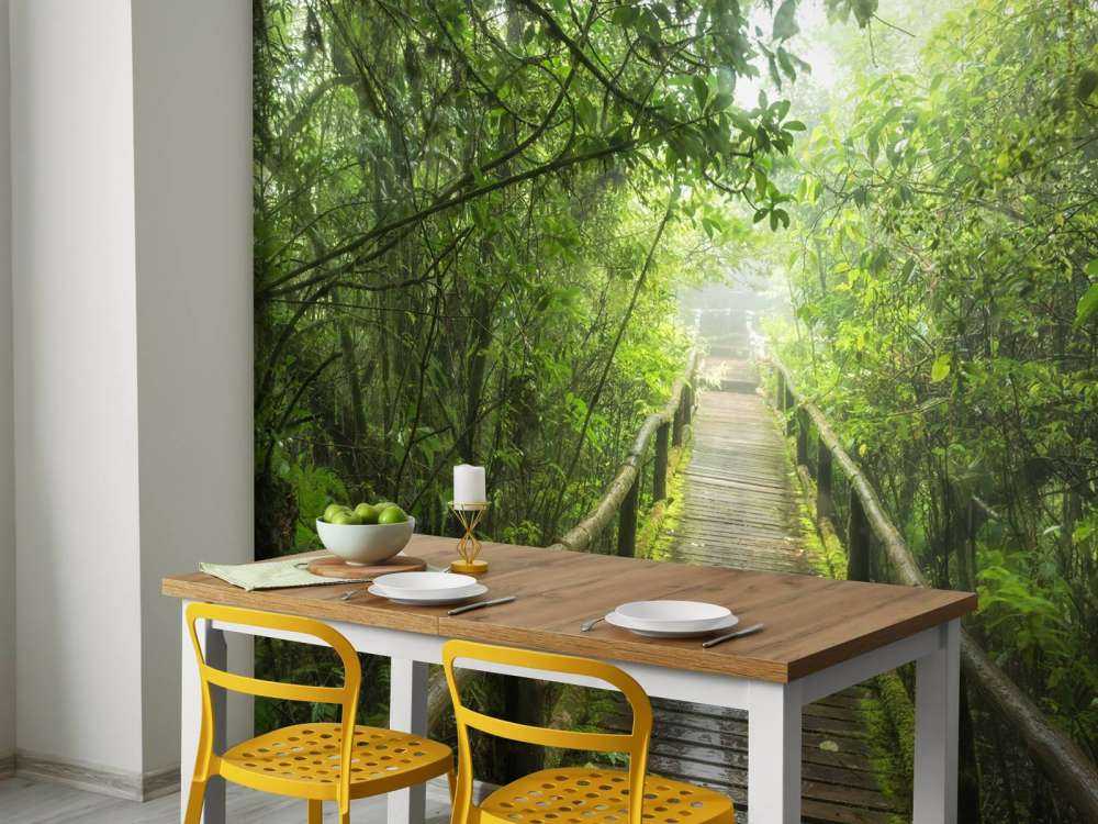 Jungle verte et brumeuse