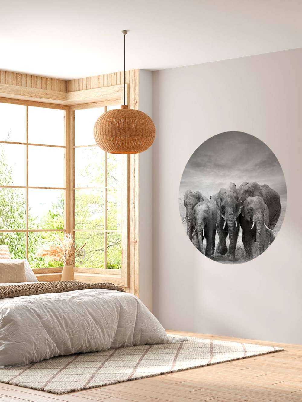 Troupeau d'éléphants