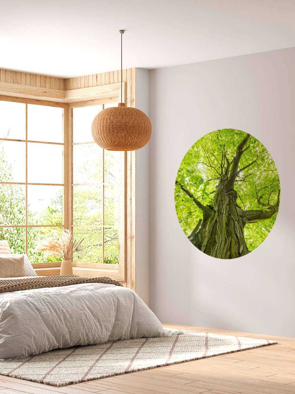 Grand arbre dans la forêt