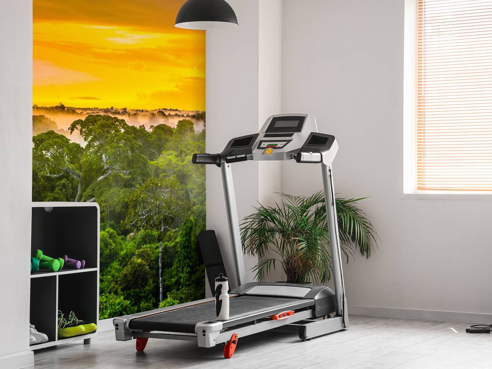 Forêt tropicale au Brésil