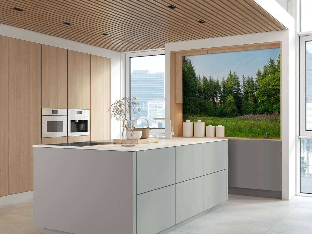 Espace ouvert dans une forêt