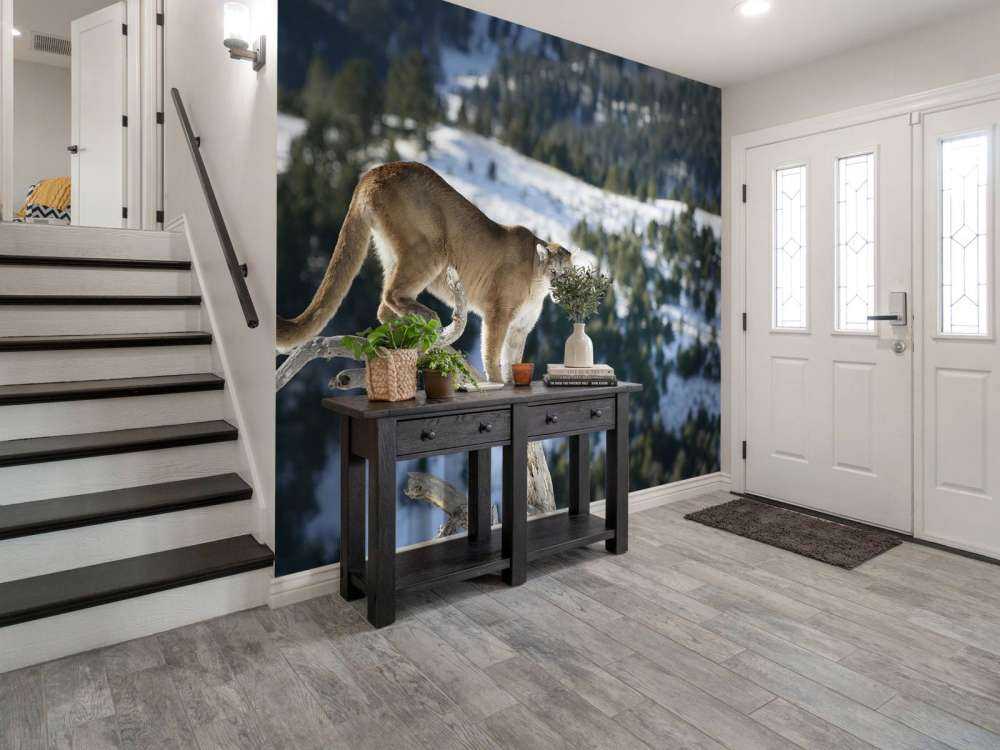 Lion de montagne sur un arbre mort