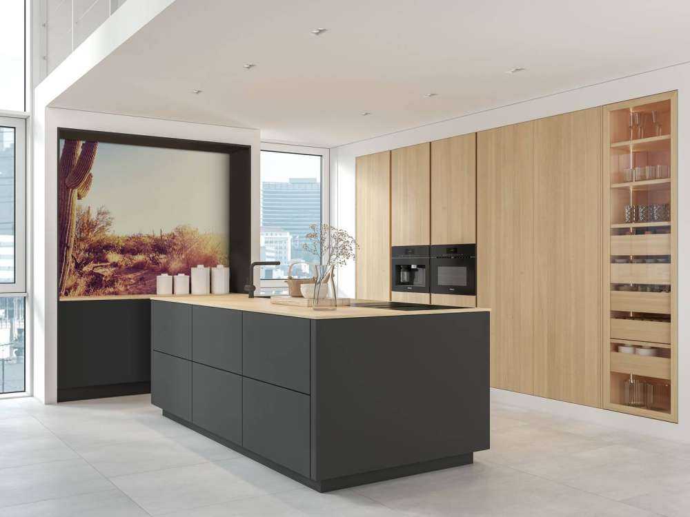 Cactus dans le désert