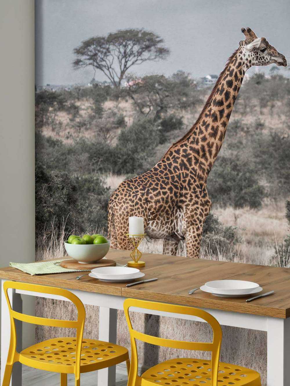 Portrait de girafe