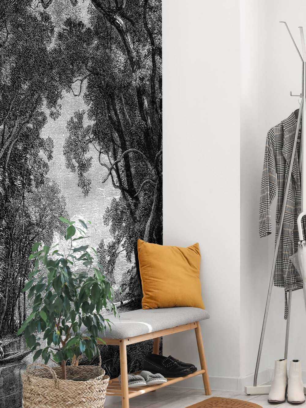 Une vieille rivière dans la jungle