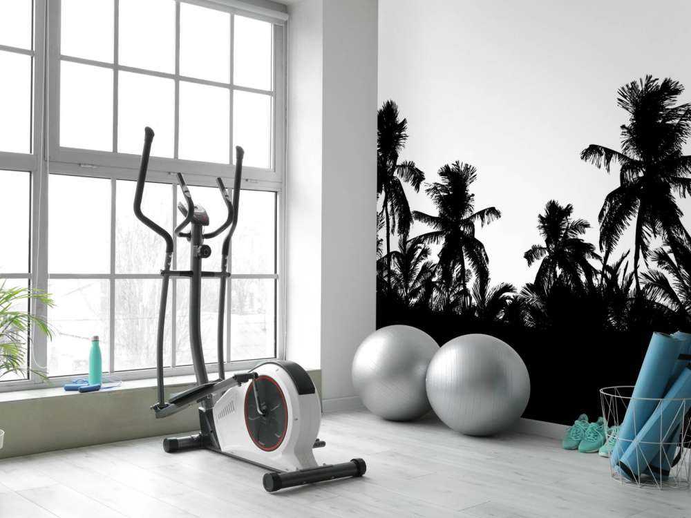 Silhouette de palmiers