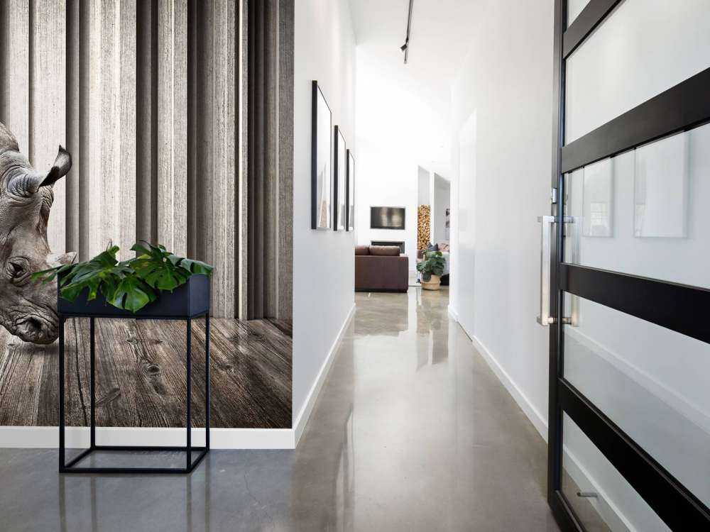 Rhinocéros dans le hall