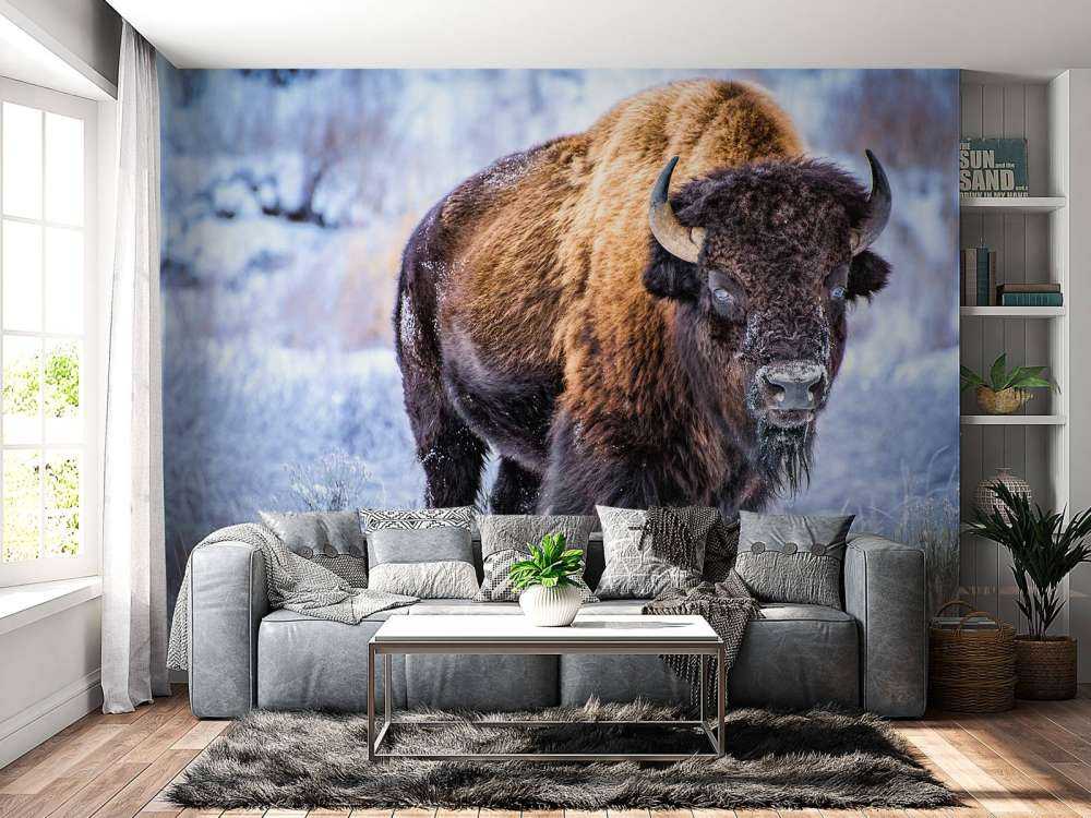 Bison