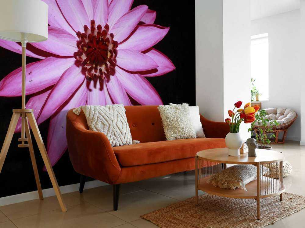 Fleur de lotus vue d'en haut