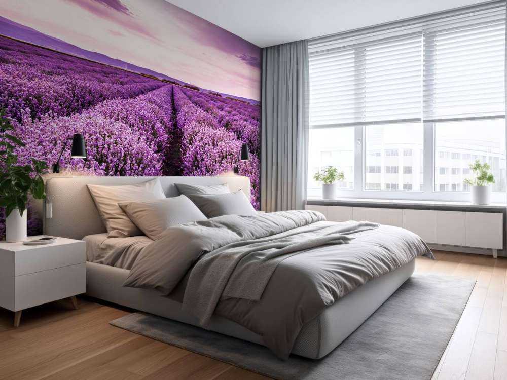 Les buissons de lavande