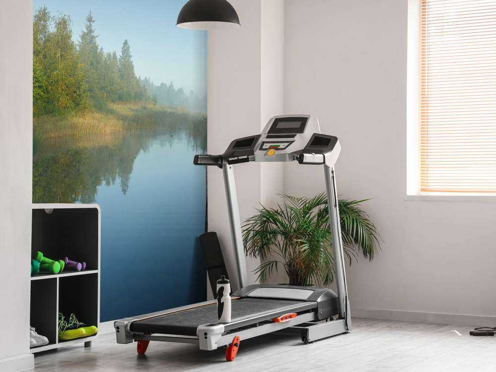 Echafaudages en bois dans la forêt