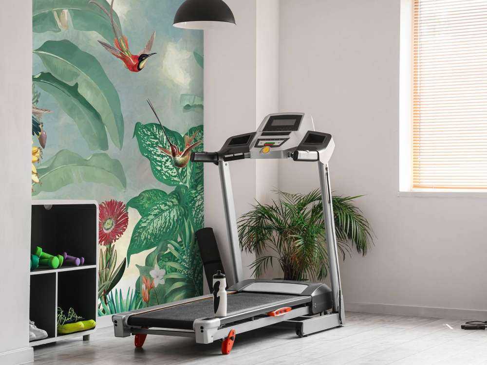 Paradis des Colibris