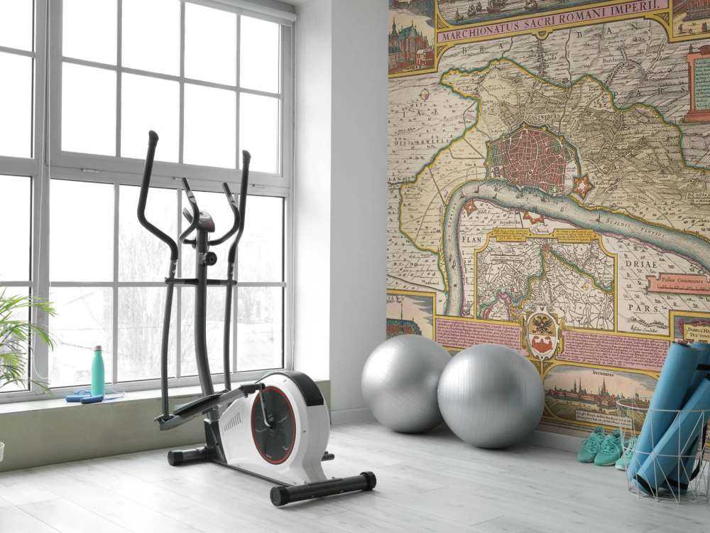 Plan de la ville d'Anvers et de ses environs