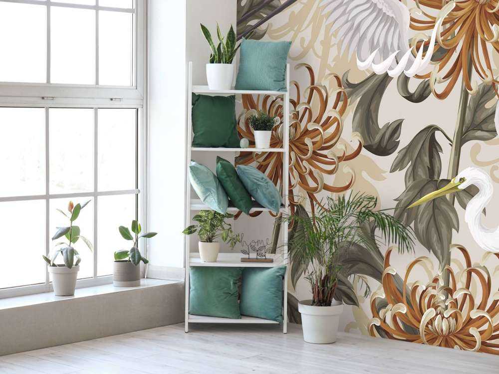 Danse du cygne Éclat de chrysanthème