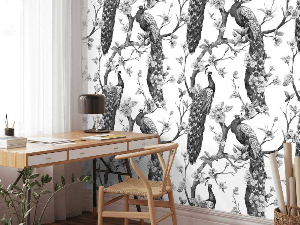 Splendeur Monochrome de Paon