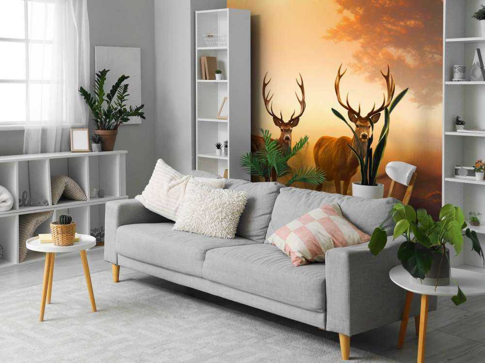 Gloire du matin Splendeur du cerf