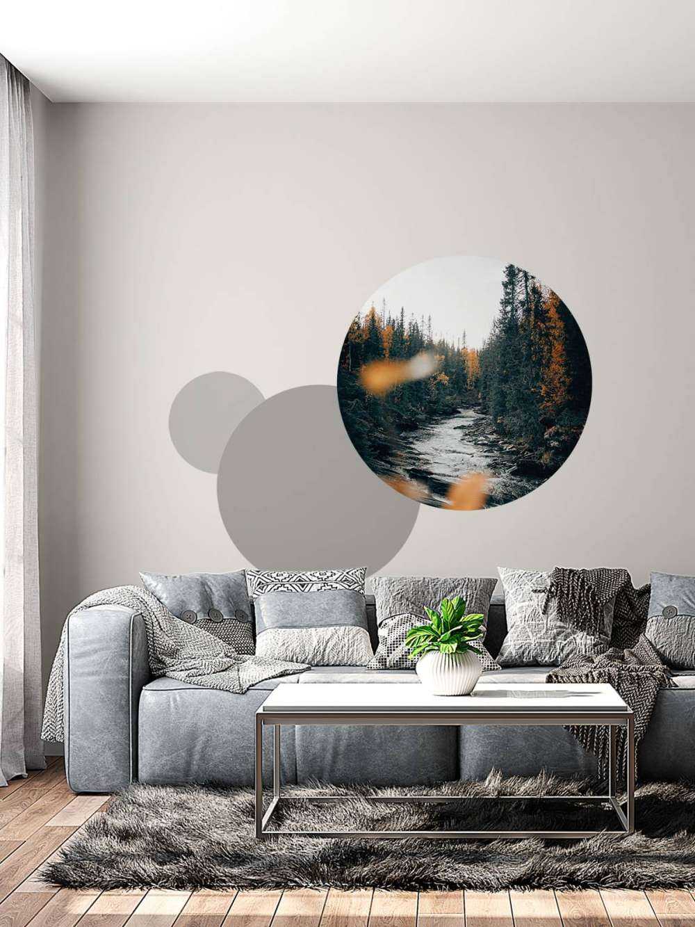 Forêt d'automne enchantée