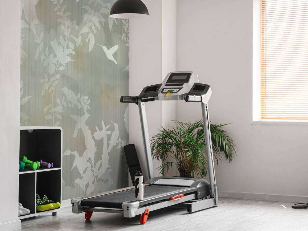 Bırds ın the fog 3