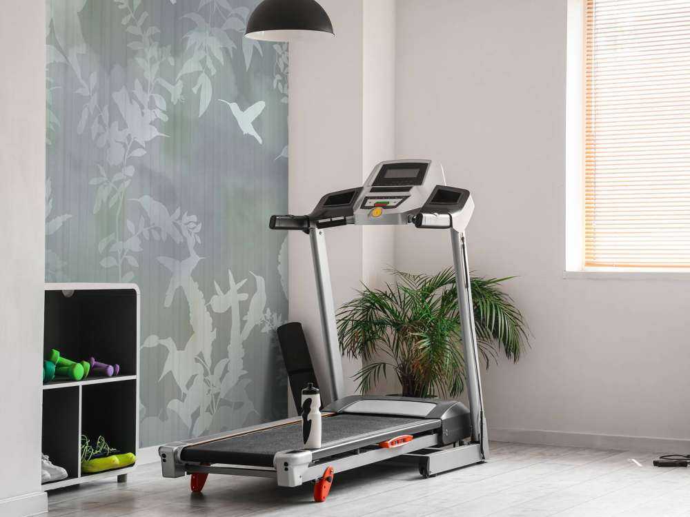 Bırds ın the fog 2