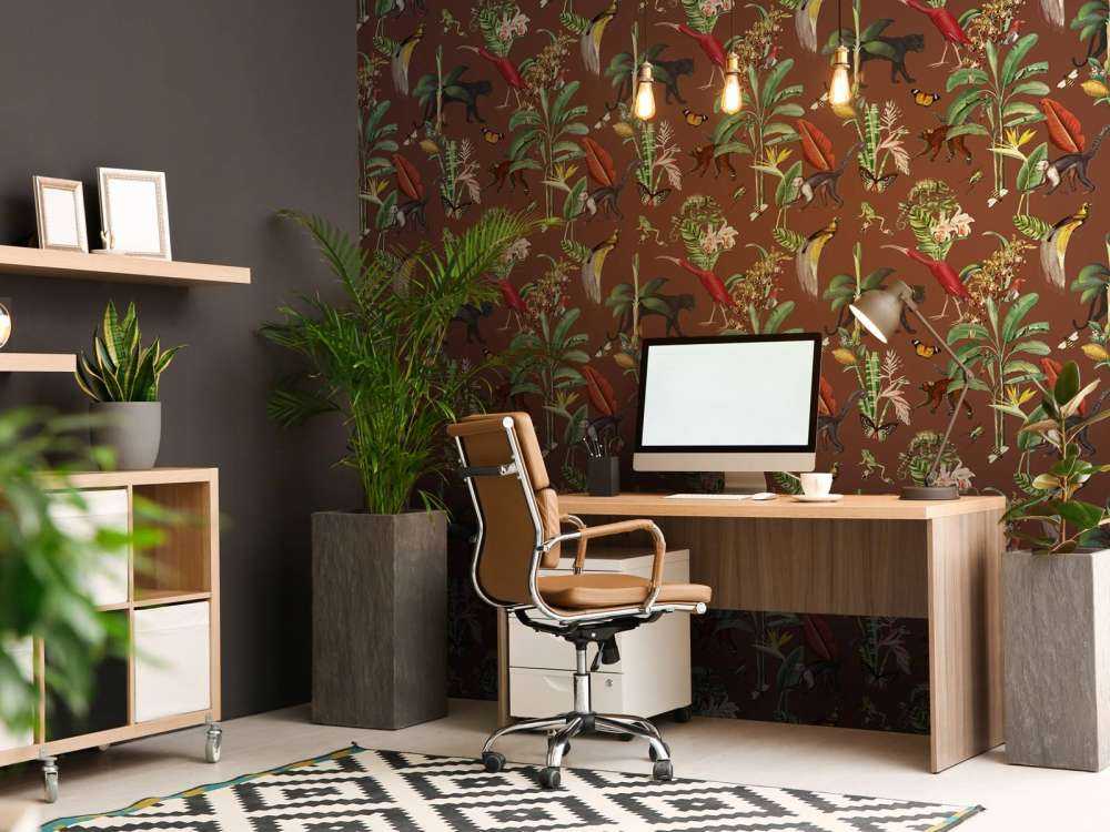 Royaume Animalia Terre Sombre