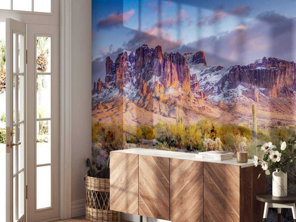 Cactus dans un paysage de montagne