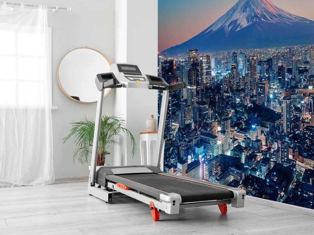 Tokyo au coucher du soleil